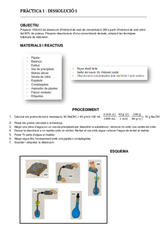 PRACTICA-QUIMICA-DISSOLUCIO.pdf
