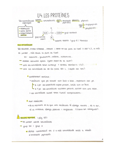 Unitat-4.pdf