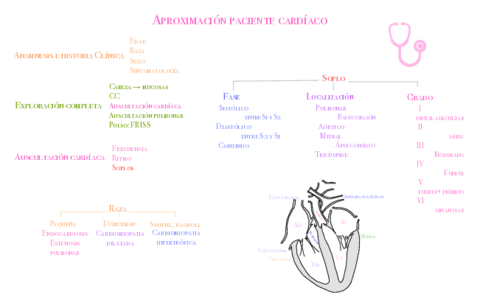 exploracion-cardiaca.pdf