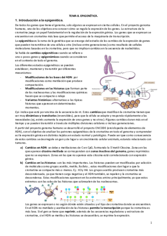 TEMA-8.pdf