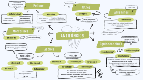 Esquema-Antifungics.pdf