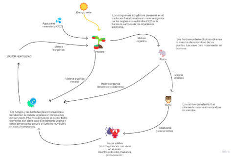 El-ciclo-de-la-materia-en-los-ecosistemas.pdf