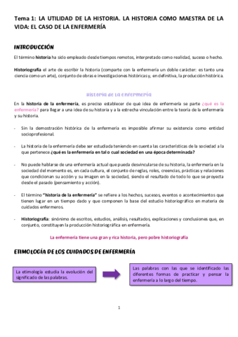 apuntes-historia-DEFINITIVOS.pdf