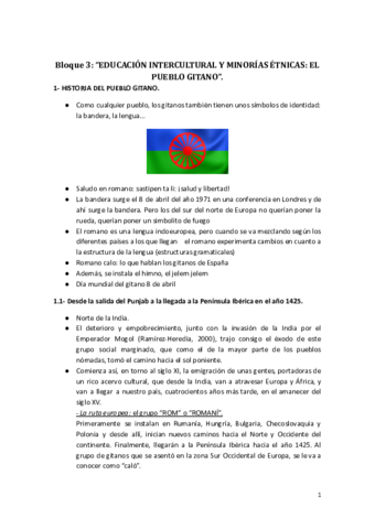 Educacion-intercultural-y-minorias-etnicas-el-pueblo-gitano.pdf