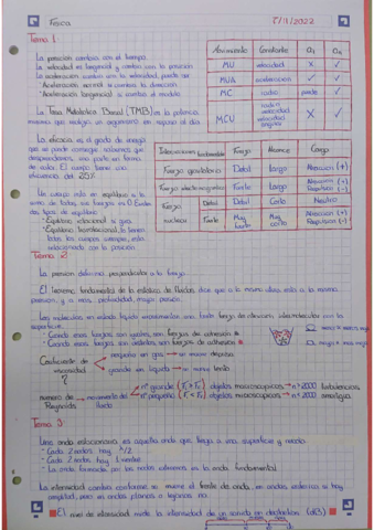 FisicaTeoria.pdf