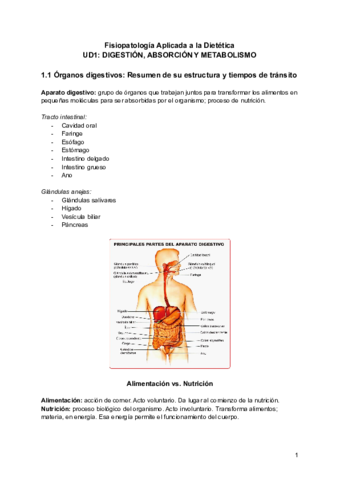 FAD-UD1.pdf