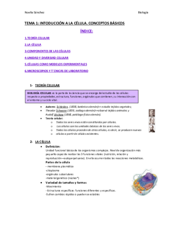 TEMA-1.pdf