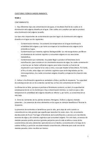 TMA-CUESTIONES-TEORICAS-MEDIO-AMBIENTE-1er-parcial.pdf