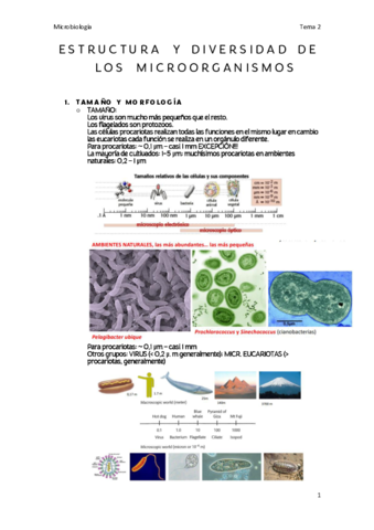 TEMA-2.pdf