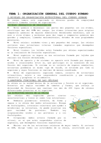 ANAT-T-1.pdf