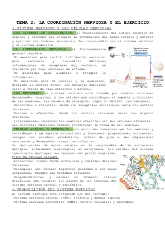 ANAT-T-2.pdf