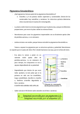 Examen-practicas-fisio.pdf