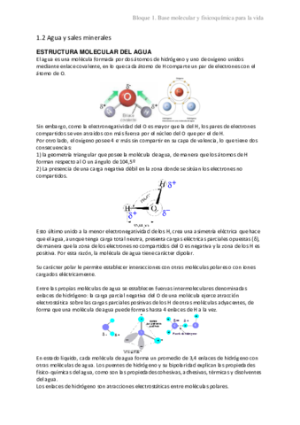 1.2 Agua y sales minerales