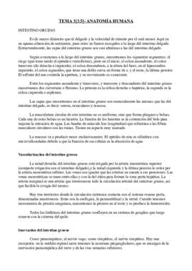 Tema 3[3.5]- Anatomía.pdf
