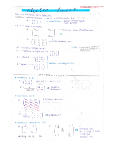 PA1-Algebra-lineal.pdf
