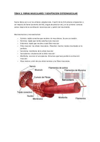 2-Fisiologia-del-Ejercicio.pdf