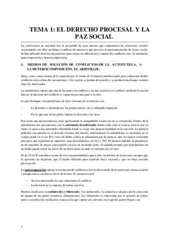 Procesal-entero.pdf