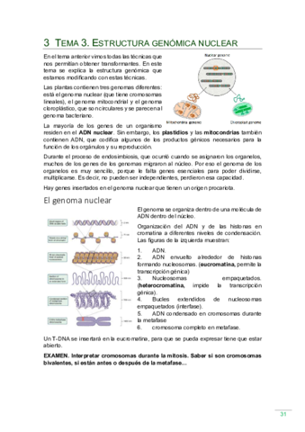 Tema-3.pdf