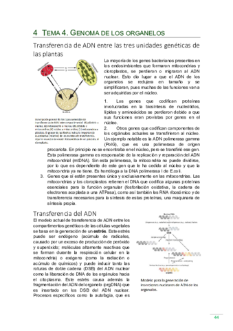 Tema-4.pdf