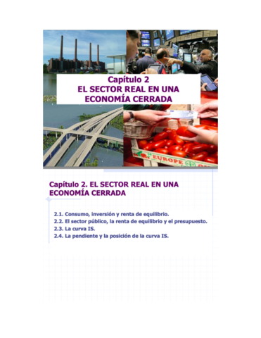 Tema-2-El-Sector-Real-en-una-Economia-Cerrada-.pdf
