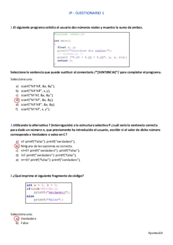 IP-CUESTIONARIO-1.pdf