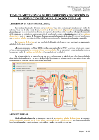 TEMA-21.pdf