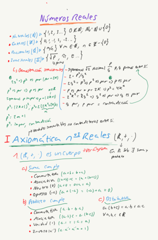 Esquemas-Numeros-Reales-y-Complejos.pdf