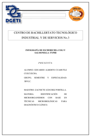 INFOGRAFIA-DE-ESCHERICHIA-COLI-Y-SALMONELLA-TYPHI-LLL.pdf