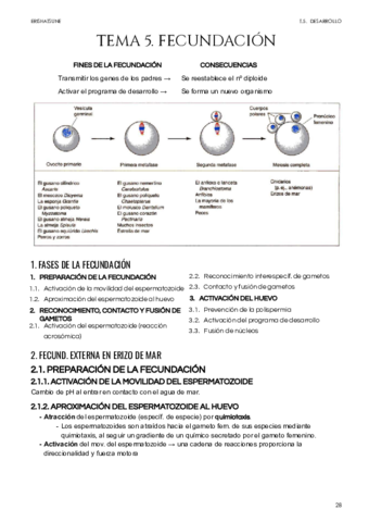 Tema-5-Fecundacion.pdf