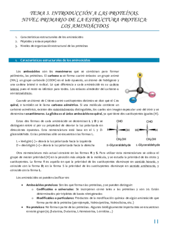 Tema 3 INTRODUCCION A LAS PROTEINAS.pdf