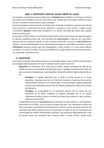 ANATOMIA-PATOLOGICA-1r-Parcial.pdf