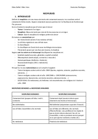 NEOPLASIES-2n-Parcial.pdf