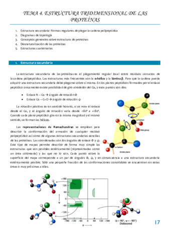 Tema 4 ESTRUCTURA TRIDIMENSIONAL DE LAS PROTEINAS.pdf