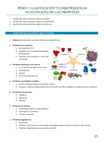 Tema 5 CLASIFICACION Y CARACTERISTICAS FUNCIONALES DE LAS PROTEINAS.pdf