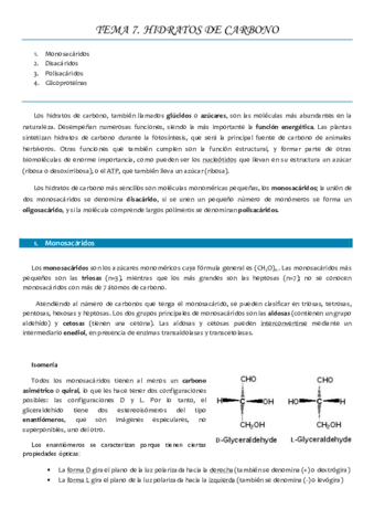 Tema 7 HIDRATOS DE CARBONO.pdf
