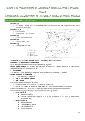 TEMA-13.pdf