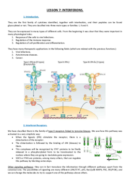 Lesson 7.pdf