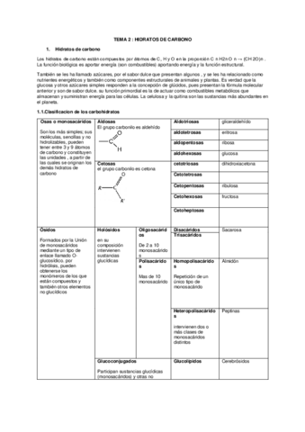 Tema-2-.pdf