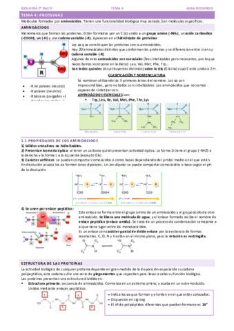 TEMA-4-PROTEINAS.pdf