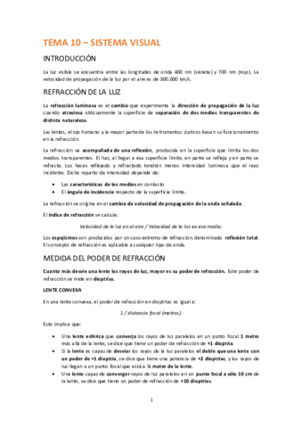 TEMA-10-SISTEMA-VISUAL.pdf