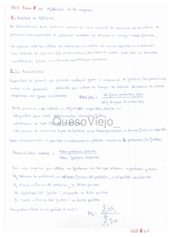 OGE7-La-eficiencia-de-la-empresa-watermark-1.pdf