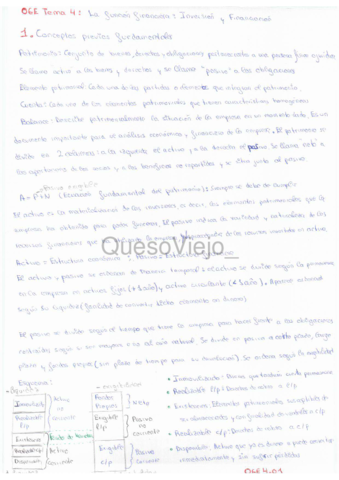 OGE4-La-funcion-financiera.pdf