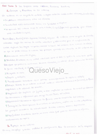 OGE3-La-empresa-como-sistema.pdf