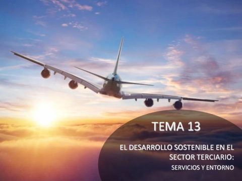 TEMA-13CURT.pdf