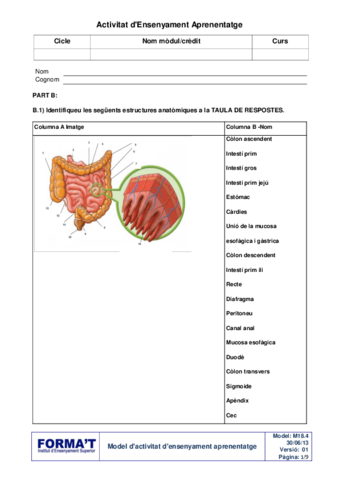 P8M08-Digestivo-nutricion-actividad-.pdf