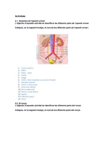 P2-renal-Actividad.pdf