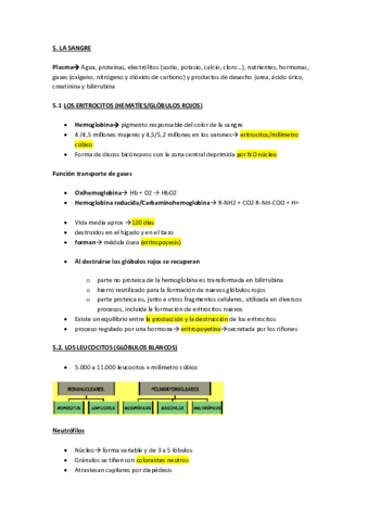 la-sangre-fisio-apuntes-.pdf