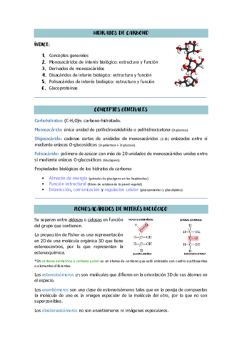 tema-7-bioquimica.pdf