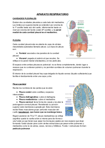 Aparato-respiratorio.pdf
