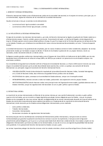 TEMARIO-DERECHO-INTERNACIONAL.pdf